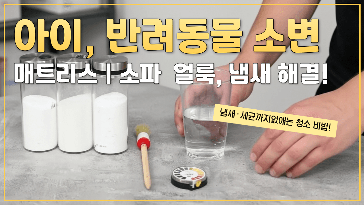 아이, 반려동물 소변 얼룩 냄새까지 완벽 제거 과정